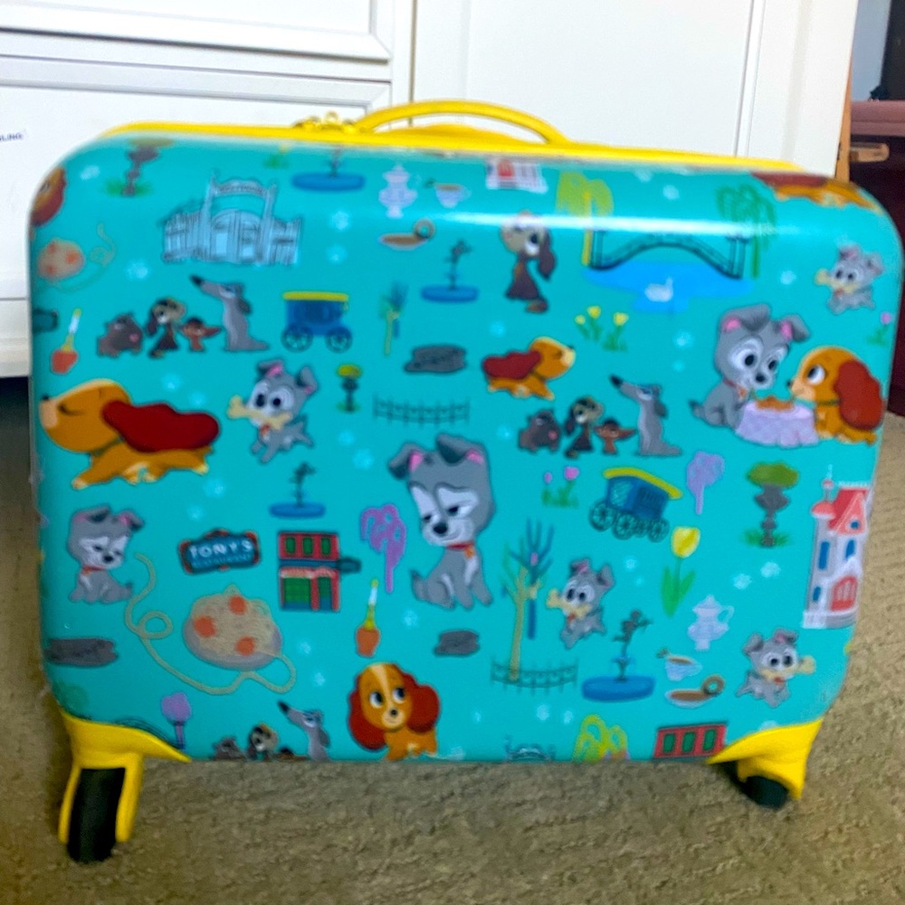Disney carry on luggage